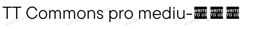 TT Commons pro mediu字体转换